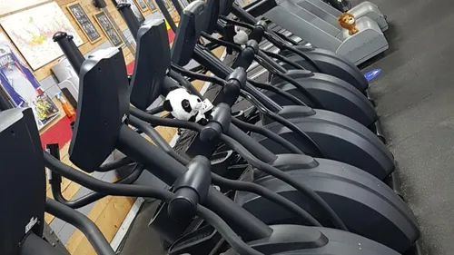 Quelles conditions pour la réouverture des salles de sport ? 